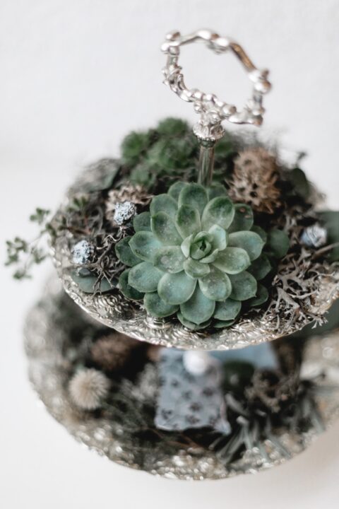 Floristikwerkstatt Martina Hladovsky | Blickfang | Styled Shoots