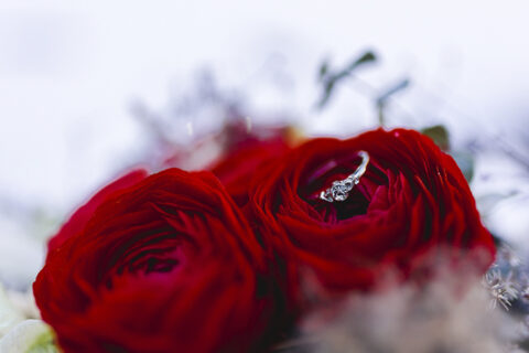 Floristikwerkstatt Martina Hladovsky | Blickfang | Styled Shoots