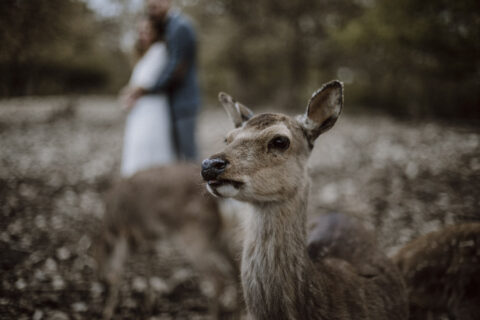 Floristikwerkstatt Martina Hladovsky | Blickfang | Styled Shoots